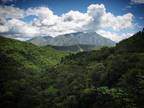 Luxuriant Forest in Majestic Mountain Scenery under Partly Cloudy Sky