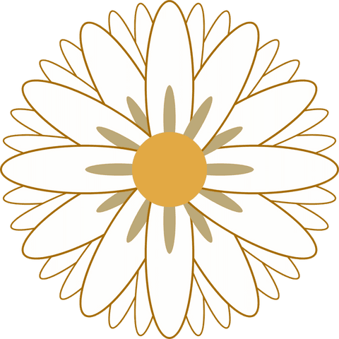 Minimalistic transparent daisy illustration with yellow center