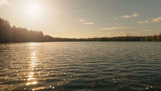 Calm golden hour lake surface reflecting low sun with autumn tree silhouette and ripples