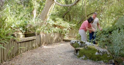 Senior Couple Exploring Lush Green Garden Path