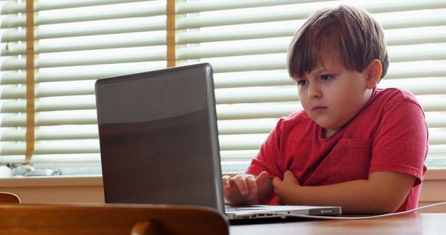 Young boy deeply focused on laptop screen, engaging in e-learning at home. Ideal for concepts related to childhood education, online classes, homeschooling, technology usage among children, and child concentration. Perfect for educational blogs, articles on digital learning, and promotional materials for e-learning platforms.