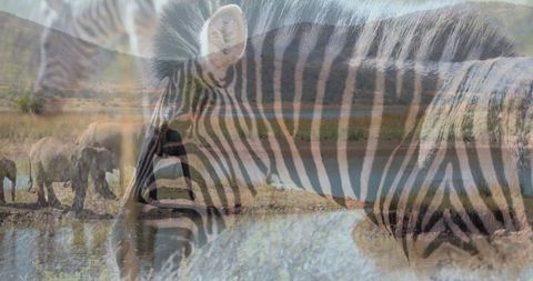 Artistic Wildlife Blend with Zebras and Elephants in Savanna - Download Free Stock Images Pikwizard.com