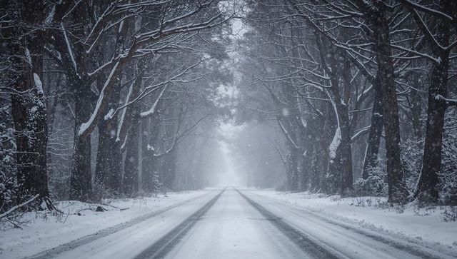 Snow-lined country road vanishing into misty forest tunnel with parallel tire tracks and bare winter