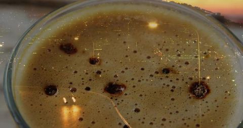Closeup glass cup espresso crema reflecting urban sunset and city lights