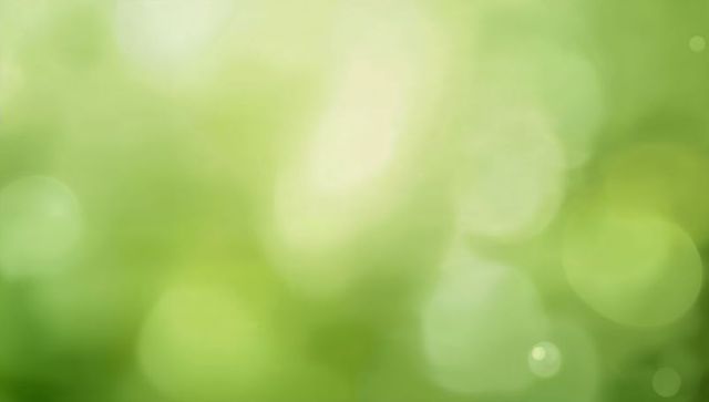 Soft green bokeh background with light flare and blurred foliage for nature wellness design