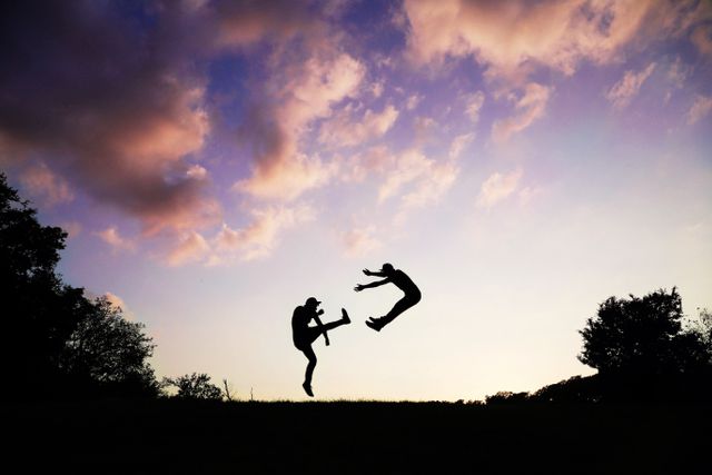 2 People Doing Karate during Sunset - Download Free Stock Photos Pikwizard.com