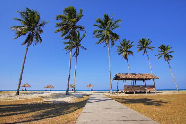 Pathway leading to tropical beach lined with tall palm trees, and a wooden hut with thatched roof at the side. Blue sky and calm sea create a serene atmosphere, perfect for promoting travel, vacation destinations, relaxation, holiday postcards, and tropical resort advertisements.