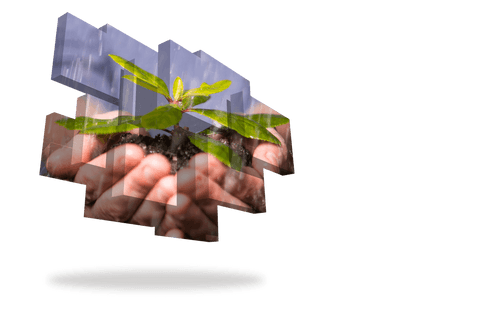 Hands Gently Holding Growing Plant on Transparent Digital Display - Download Free Stock Videos Pikwizard.com