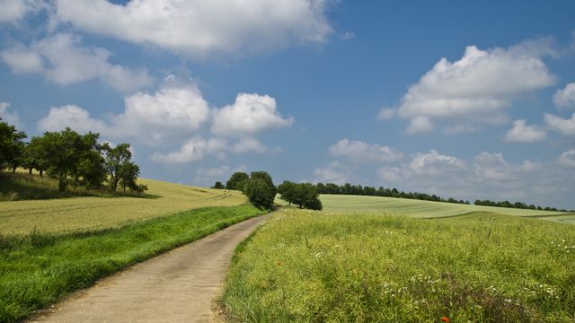This tranquil scene depicts a dirt road winding through lush green fields under a bright blue sky with scattered clouds. Trees line parts of the road, adding to the rural charm of the setting. Perfect for backgrounds, travel brochures, websites focusing on nature, outdoor activities, or posters promoting peaceful landscapes and relaxation.