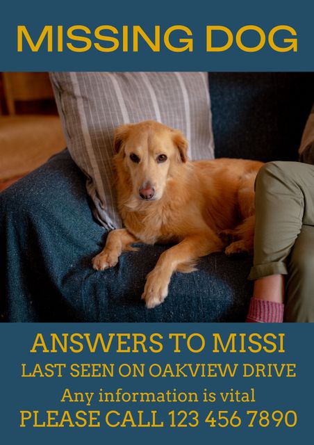 Poster features lost dog named Missi on sofa. Includes text such as 'Answers to Missi,' 'Last seen on Oakview Drive,' and contact number for missing pet alert. Useful for informing local community about lost pets and assisting in their search. Ideal for neighborhoods, community boards, and social media alerts to help reunite pets with owners.