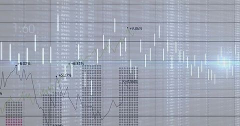 Dynamic Financial Data Analytics with Charts and Graphs