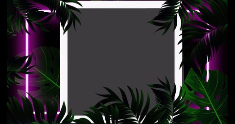 tropical leaves framing geometric copy space - Download Free Stock Images Pikwizard.com