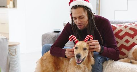 Man Wearing Santa Hat Putting Candy-Cane Headband on Golden Retriever for Christmas