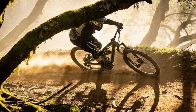 Mountain biker carving berm on dusty singletrack through moss-covered forest