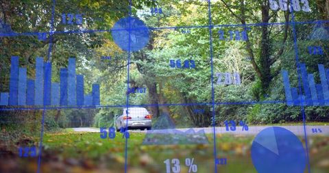 Hatchback driving through forest road with blue data overlay for mobility insights