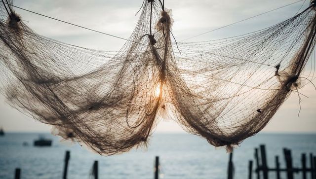 Hanging backlit fishing nets drying over coastal pier at golden sunrise with silhouetted posts