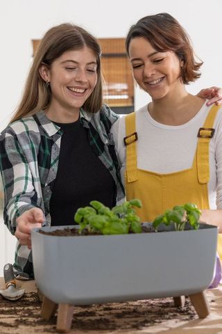 Diverse friends planting indoor herb garden together in sunlit kitchen with modern planter