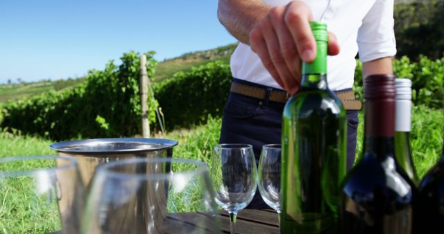 Wine Tasting in Vineyard, Close-Up of Bottles and Glasses - Download Free Stock Images Pikwizard.com