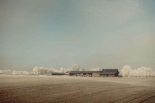 This vibrant image captures a serene winter countryside landscape showcasing farm buildings covered in frost. The field and trees around the farm add to the tranquil atmosphere, creating a picturesque view ideal for use in projects related to agriculture, rural living, peace, or winter themes. Perfect for blog posts, magazines, and promotional materials emphasizing quiet landscapes or seasonal change.