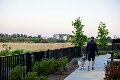Man walking dog along peaceful suburban path
