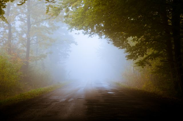 Deserted and quiet forest road blanketed in dense fog creates a mysterious and serene atmosphere perfect for backgrounds, storytelling projects related to nature or mysteries, and psychological thrillers.