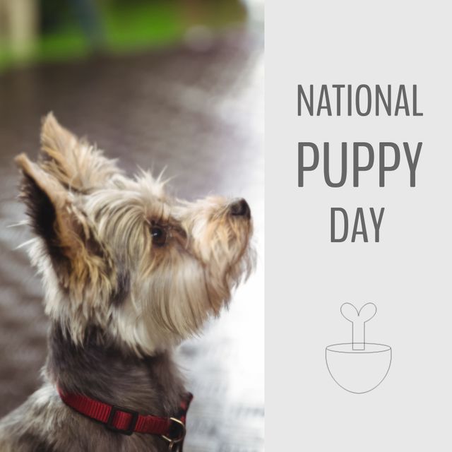 Composition of national puppy day text over dog. National puppy day and celebration concept digitally generated image.
