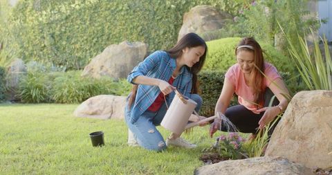 Asian Mother and Daughter Gardening Together in Sunny Yard