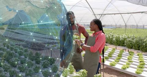 Innovative Horticulture: Workers in Greenhouse with Digital Globe Overlay