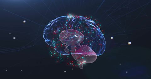 Digital Brain Visualization with Red and White Data Points - Download Free Stock Images Pikwizard.com