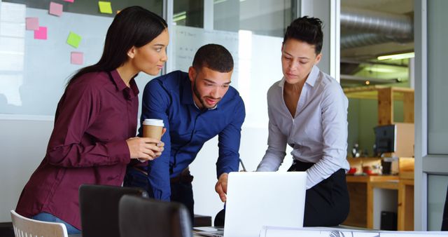 Focused Team Collaborating on Project in Modern Office - Download Free Stock Images Pikwizard.com