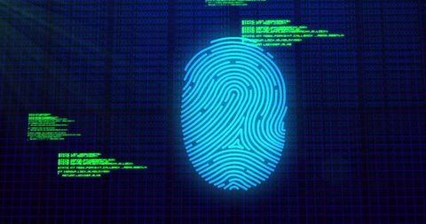 Biometric Fingerprint Digital Security Interface - Download Free Stock Images Pikwizard.com