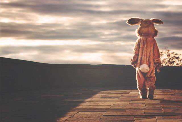 Person dressed in a furry rabbit costume is walking on a path outside during sunrise. Background features a scenic view with partly cloudy sky. Ideal for use in themes related to Easter, events, children's parties, or as whimsical and humorous content for marketing and social media.