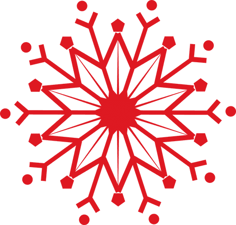 red star flower design on transparent background vector - Download Free Stock Videos Pikwizard.com
