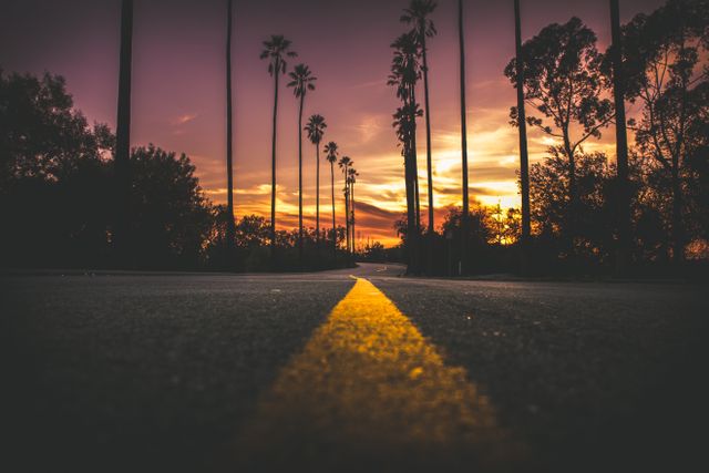 This scene depicts a quiet road lined with tall palm trees at sunset, captured from an upward angle on the pavement. The sky is bathed in dramatic hues of purples, oranges, and pinks, creating a serene and picturesque atmosphere. Ideal for travel brochures, nature-themed articles, social media posts promoting relaxation and adventure, or inspirational posters.