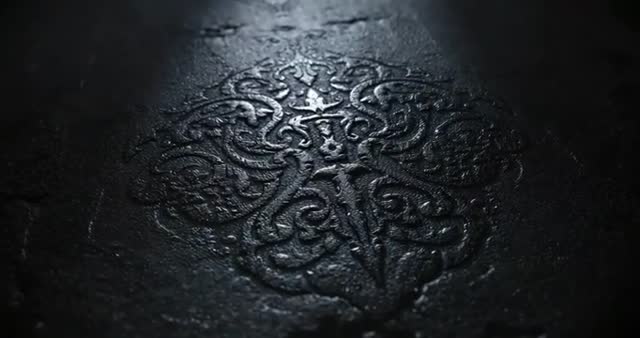 Ornate Mirrored Emblem in Ancient Chamber Light