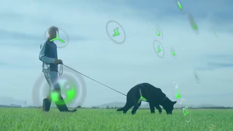 Man Walking Dog with Environmental Technology Icons in Green Field