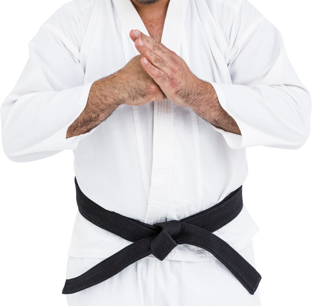 Martial Arts Fighter in White Gi with Black Belt Performing Hand Salute - Download Free Stock Videos Pikwizard.com