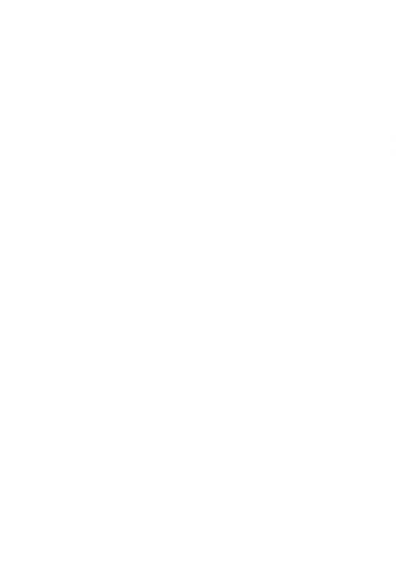 Male Boxer Silhouette on Transparent Background, Isolated Boxing Concept - Download Free Stock Videos Pikwizard.com