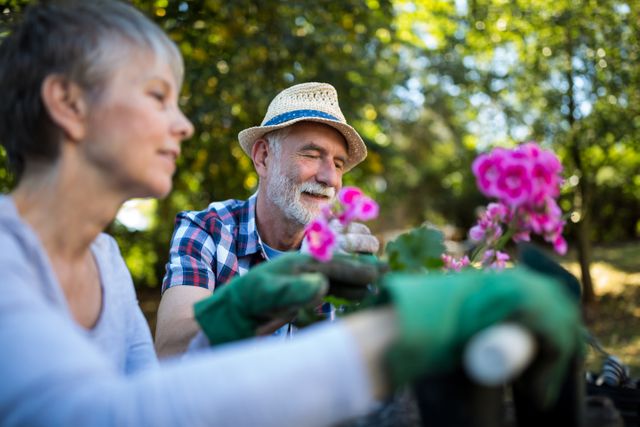 Senior couple enjoying gardening together on a sunny day. They are planting flowers and bonding over a shared hobby. Ideal for use in articles or advertisements about healthy lifestyles, retirement activities, senior living, and outdoor hobbies.