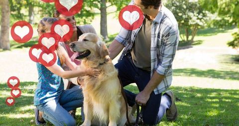 Happy Family Enjoying Time with Their Dog Outdoors