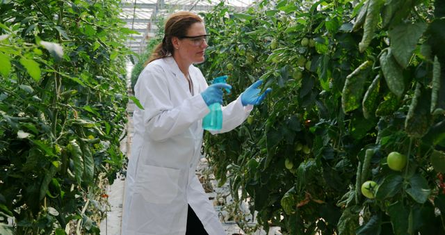 Agricultural scientist wearing protective clothing and glasses spraying plants inside greenhouse. Ideal for content on agricultural research, modern farming techniques, and sustainable agriculture. Useful in articles, agricultural studies, and advertisements featuring innovative methods in horticulture.