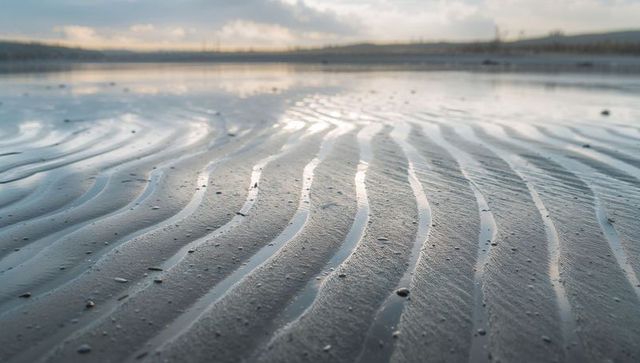 Rippling wet sand and tidal channels creating leading lines on overcast coastal mudflat