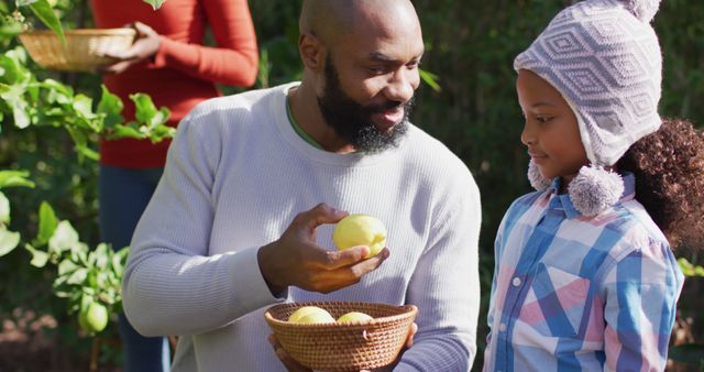 Image of happy african american father and daughter picking lemons in garden - Download Free Stock Photos Pikwizard.com