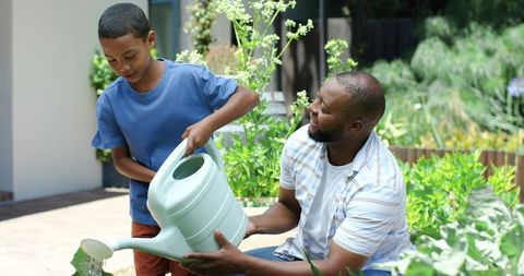 African american father and son watering backyard vegetable garden, bonding and teaching