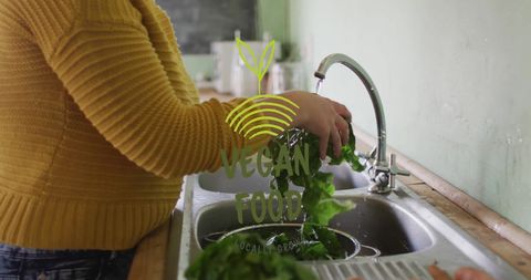 Person Washing Green Vegetables in Kitchen for Vegan Meal - Download Free Stock Images Pikwizard.com