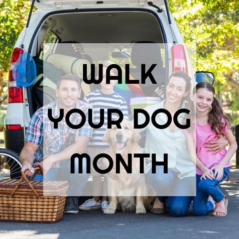 family enjoying day outdoors with dog promoting walk your dog month - Download Free Stock Templates Pikwizard.com