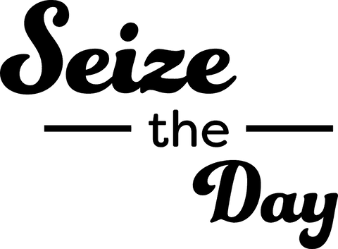 Inspiring 'seize the day' text on transparent background vector