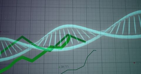 Biotech investment trends with dna strand and stock market graph overlay