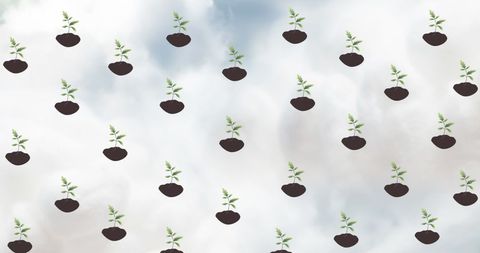 Repeating Pattern of Plants on Cloudy Sky Background