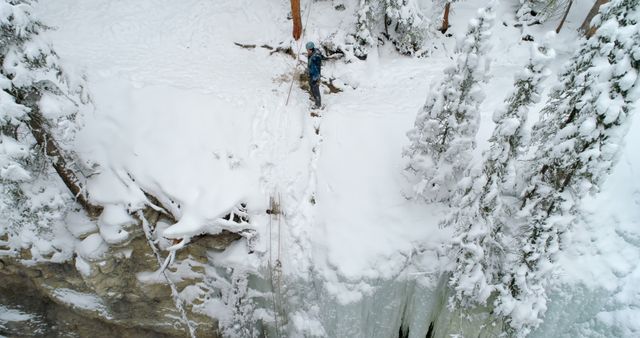 Aerial View of Winter Climber in Snowy Forest - Download Free Stock Images Pikwizard.com